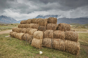 Large stack of hay rolls in a landscape