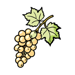 whitecurrant icon, whitecurrant vector illustration-simple illustration of whitecurrant, perfect for whitecurrant logos and icons