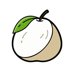 white sapote icon, white sapote vector illustration-simple illustration of white sapote, perfect for white sapote logos and icons