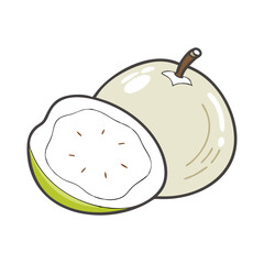 white sapote icon, white sapote vector illustration-simple illustration of white sapote, perfect for white sapote logos and icons