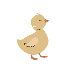 Cute cartoon duckling illustration in flat style with heart detail