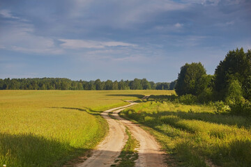 Beautiful summer landscape with dirt road and green meadows and blue sky