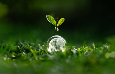 Earth Day concept of nature and protecting the world and preserving nature and the environment...