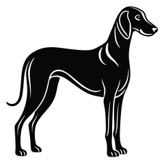 blound hound vector