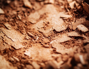 A close up shot of cracked brown earth and small pieces of debris scattered across the surface