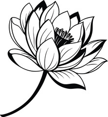 elegance, harmony, herb, image, massaging, meditating, no people, ornate, outline, purity