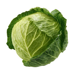 Obraz premium A fresh green cabbage with tightly layered leaves showcasing its natural texture and vibrant color.