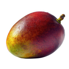 A ripe mango displaying a vibrant blend of red and green hues, showcasing its smooth skin and natural sheen.