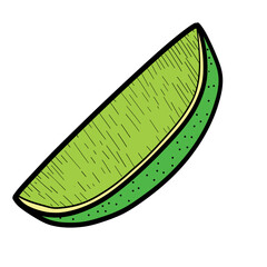 Slice of lime or lemon vector colored illustration in sketch style. Hand drawn line art of citrus fruit part. For recipes and packaging design vintage engraving