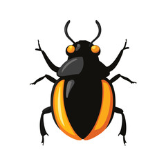 Scarab Beetle – Symbol of rebirth and good luck