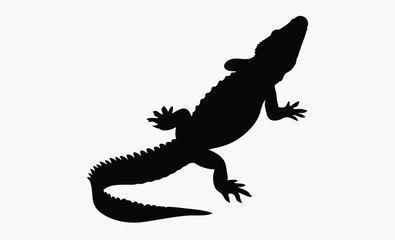 Iguana silhouette, Iguana silhouette vector illustration  on a white background 