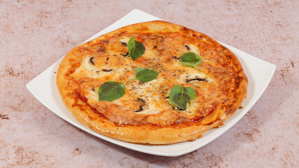 Delicious pizza isolated