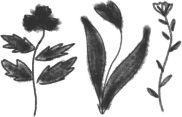 A black-and-white watercolor vector flower set allows for detailed, customizable floral designs, saving time, offering versatility, high resolution, and enhancing artistic projects with elegant textur