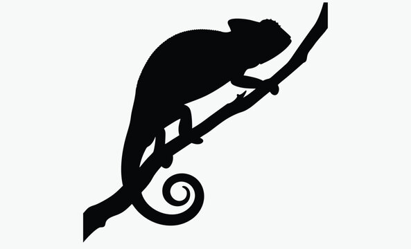 recommend clip art: Chameleon silhouette, Chameleon vector silhouette illustration isolated on a white background 