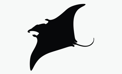 Manta ray silhouette, Silhouette of manta ray or stingray, Ocean fish, Sea devil shark 