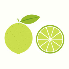 Fresh Lime Citrus Fruit Vector Illustration With Slice On White Background
