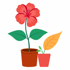 red flower in pot