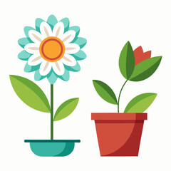 flower in a pot