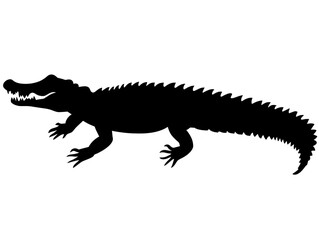 Fototapeta premium Silhouette Of Lizard Outline Isolated Against Black Background