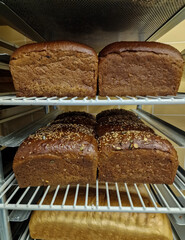 Freshly baked bread on trolley in bakery