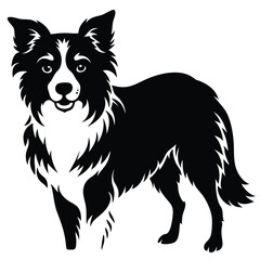 boorder collei vector