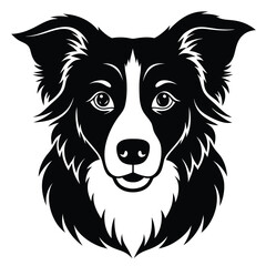 Fototapeta premium boorder collei vector