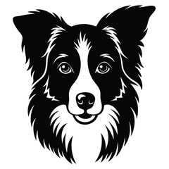 boorder collei vector