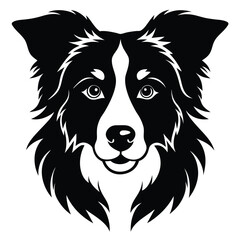 boorder collei vector