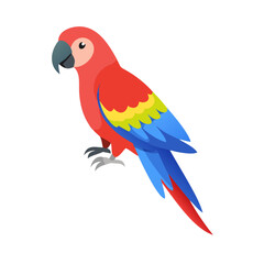 Parrot: The Colorful Birds of the Tropics
