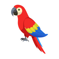 Parrot: The Colorful Birds of the Tropics