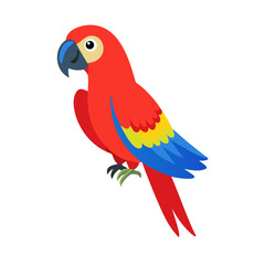 Parrot: The Colorful Birds of the Tropics