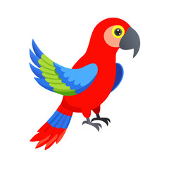 Parrot: The Colorful Birds of the Tropics