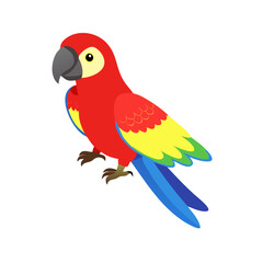 Parrot: The Colorful Birds of the Tropics