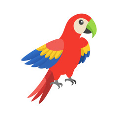 Parrot: The Colorful Birds of the Tropics