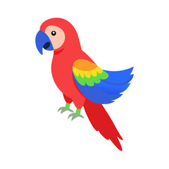 Parrot: The Colorful Birds of the Tropics