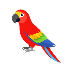 Parrot: The Colorful Birds of the Tropics