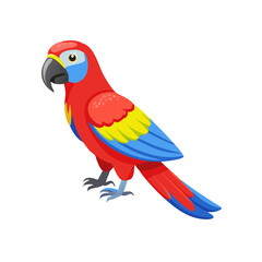 Parrot: The Colorful Birds of the Tropics