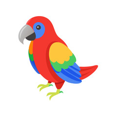 Parrot: The Colorful Birds of the Tropics