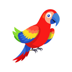 Parrot: The Colorful Birds of the Tropics