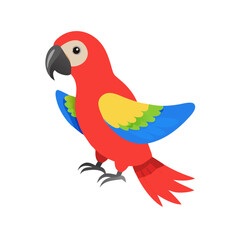 Parrot: The Colorful Birds of the Tropics