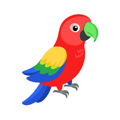 Parrot: The Colorful Birds of the Tropics