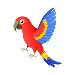 Parrot: The Colorful Birds of the Tropics