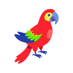 Parrot: The Colorful Birds of the Tropics