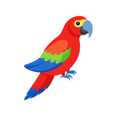Parrot: The Colorful Birds of the Tropics