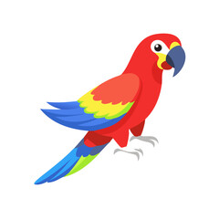 Parrot: The Colorful Birds of the Tropics