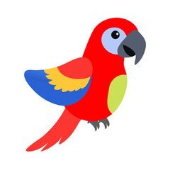 Parrot: The Colorful Birds of the Tropics