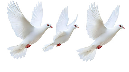 Three Flying White Doves Isolated On Transparent Background Photo