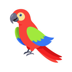 Parrot: The Colorful Birds of the Tropics