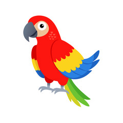 Parrot: The Colorful Birds of the Tropics