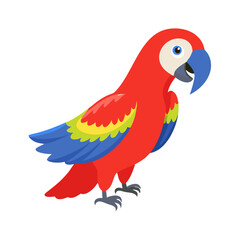 Parrot: The Colorful Birds of the Tropics
